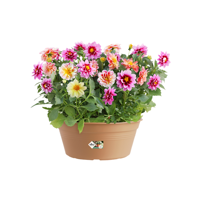 green basics schaal 27cm mild terra